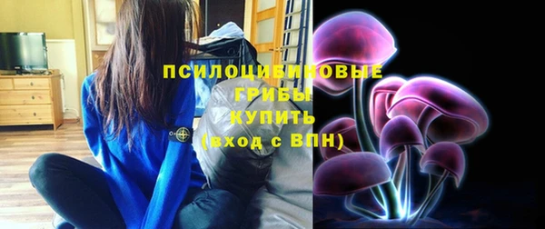 Альфа ПВП Протвино